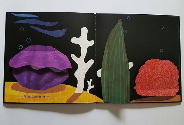 跟小白魚一起玩躲貓貓