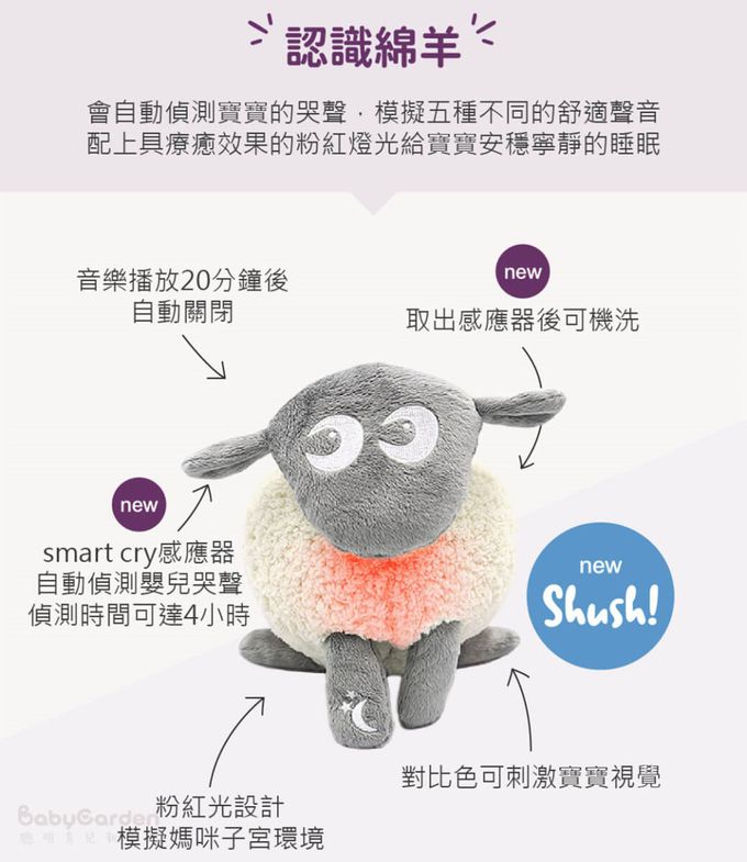 英國Sweet Dreamers - 甜夢綿羊Ewan-頂級版2.0-紫 (紫色)