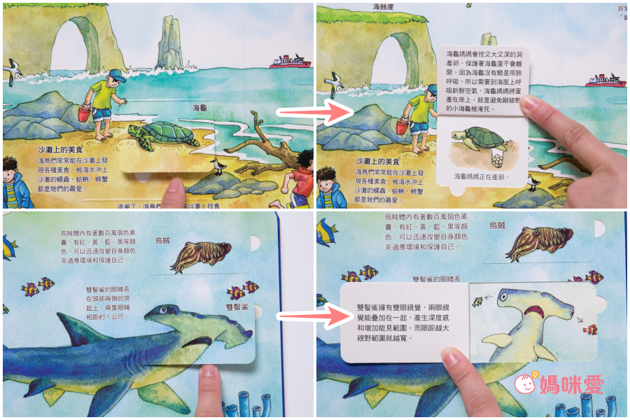 在家輕鬆玩實驗《STEAM 實驗魔法盒》，成為小小科學家好簡單！