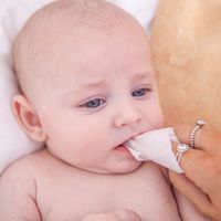 Brush Baby - 嬰兒口腔清潔手指棉巾-28入