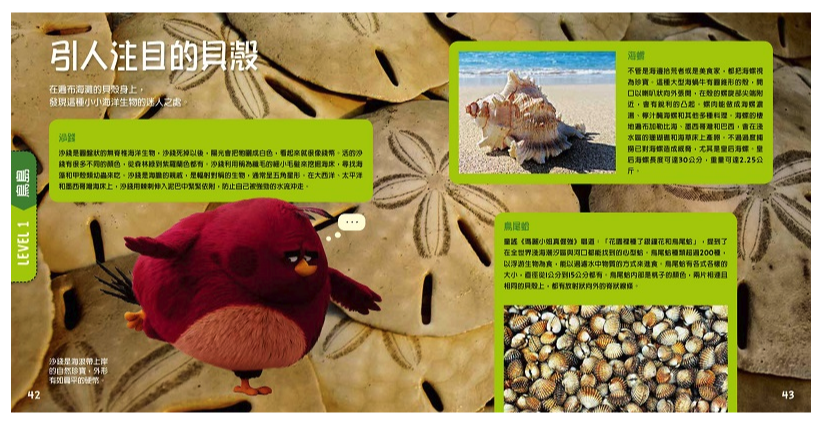 憤怒鳥：銳德的大冒險 (平裝 / 160頁 /全彩印刷)