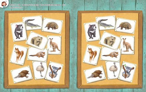一樣不一樣：陸生動物【A級福利品特惠】-全彩 (單本)-精裝
