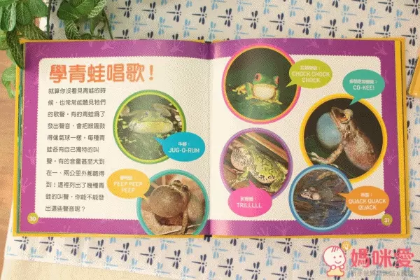 國家地理幼幼探險家套書