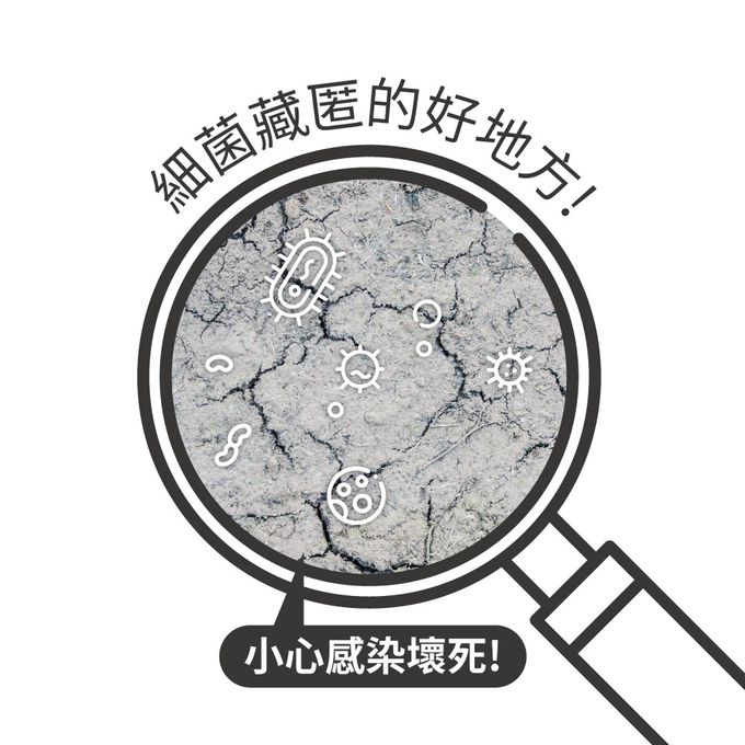 貝柔 Peilou - Supima抗菌萊卡除臭襪-船型襪(女-6雙組)-白色 (24-26cm)