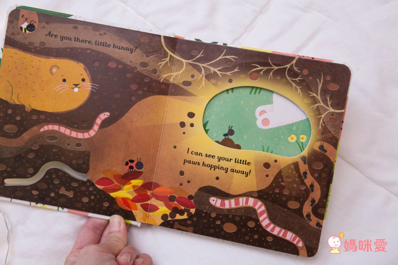 來自英國 最暢銷童書出版社【Usborne】知識遊戲書 ★ 展開超大「大圖大頁百科書」