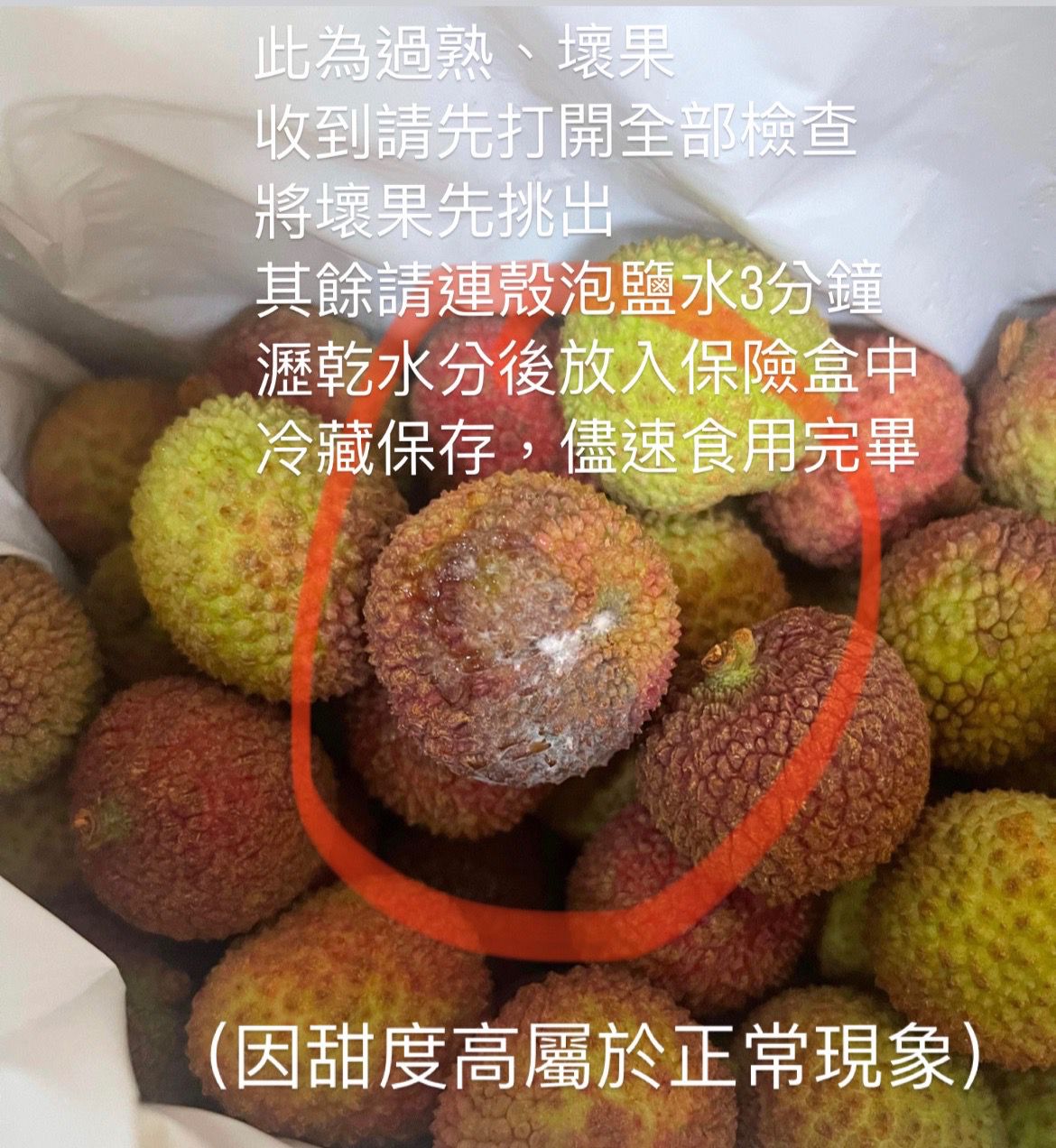 爆汁玉荷包/荔枝！高雄大樹頂級產銷 ☞產地直送最新鮮