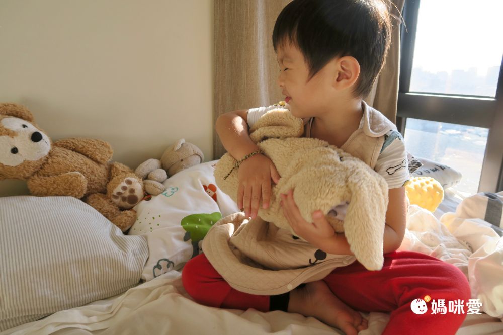 午覺趴睡x安撫【美國 寶貝想夢枕】可愛動物
