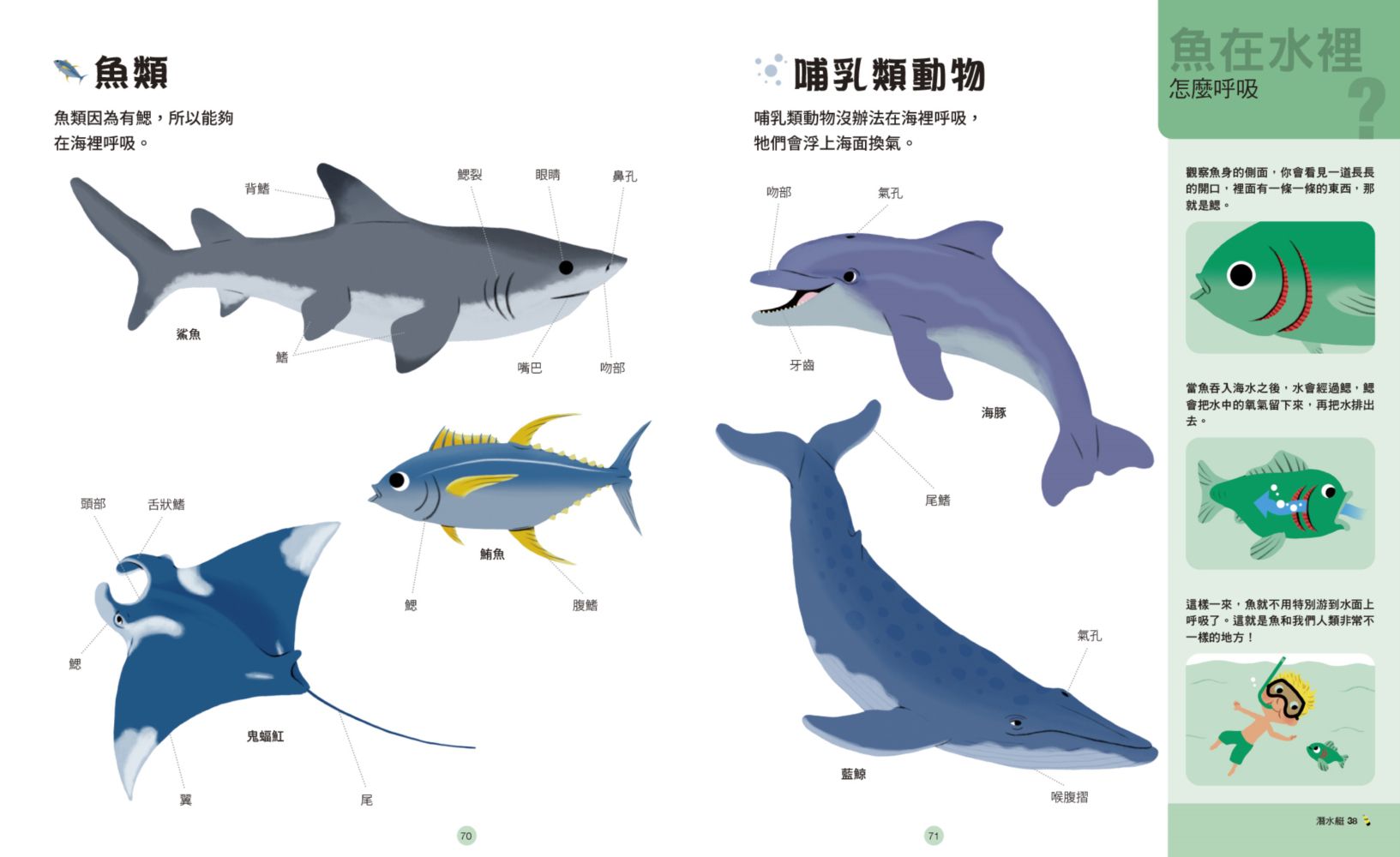 好奇心圖解大百科2奔向大海