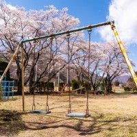 用戶頭像
