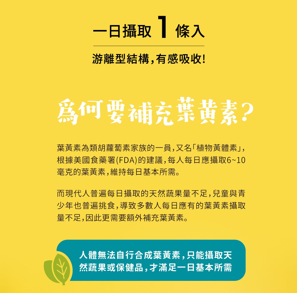 獨家組55折起【LCH】葉黃素QQ凍/乳酸菌/順暢纖果凍