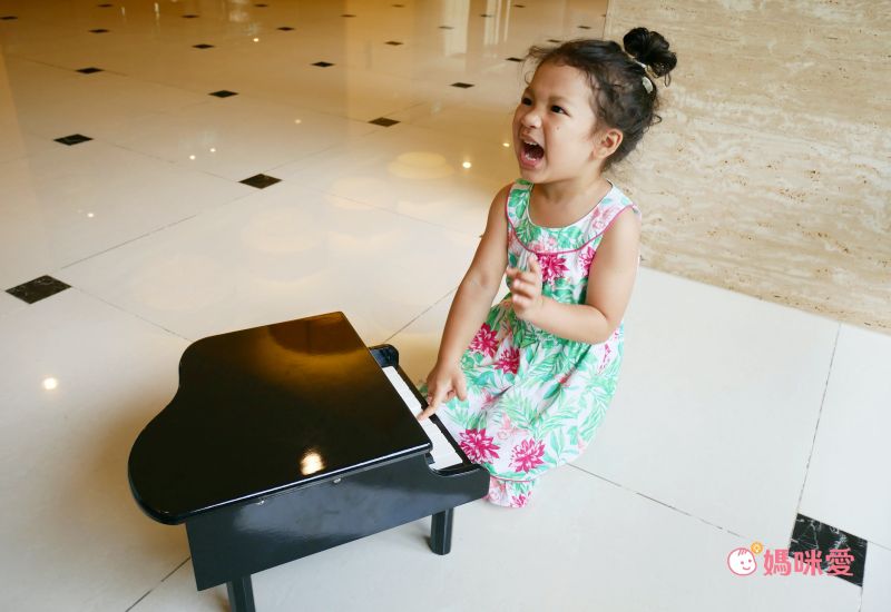 荷蘭 New Classic Toys - 幼兒18鍵三角鋼琴玩具