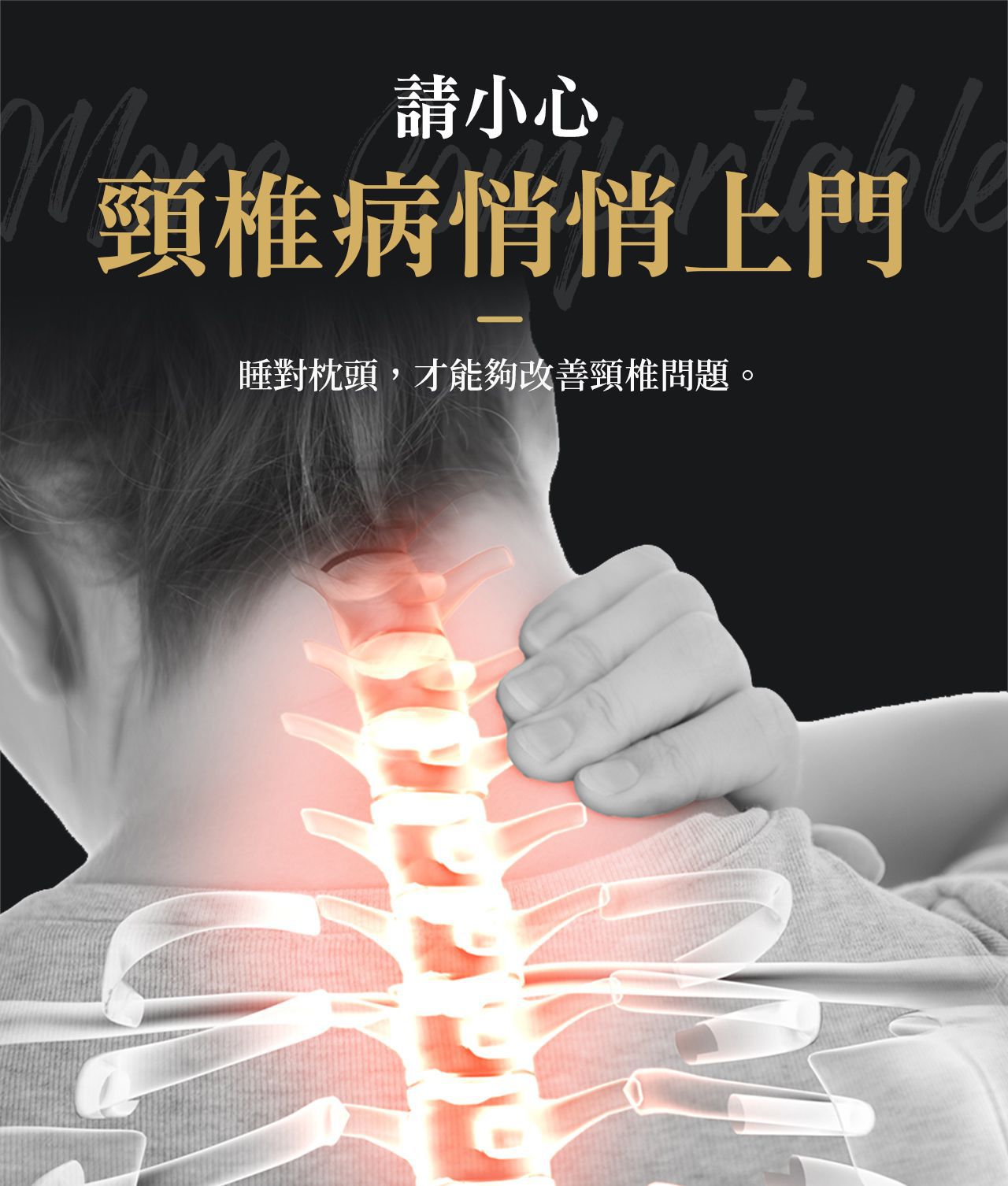 6D 獨立筒彈簧可水洗枕頭