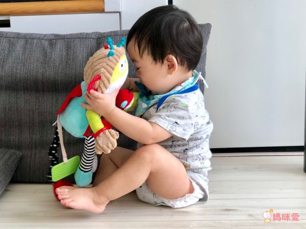 法國 Dolce Toys - 感統玩偶-超級保姆蒙奇