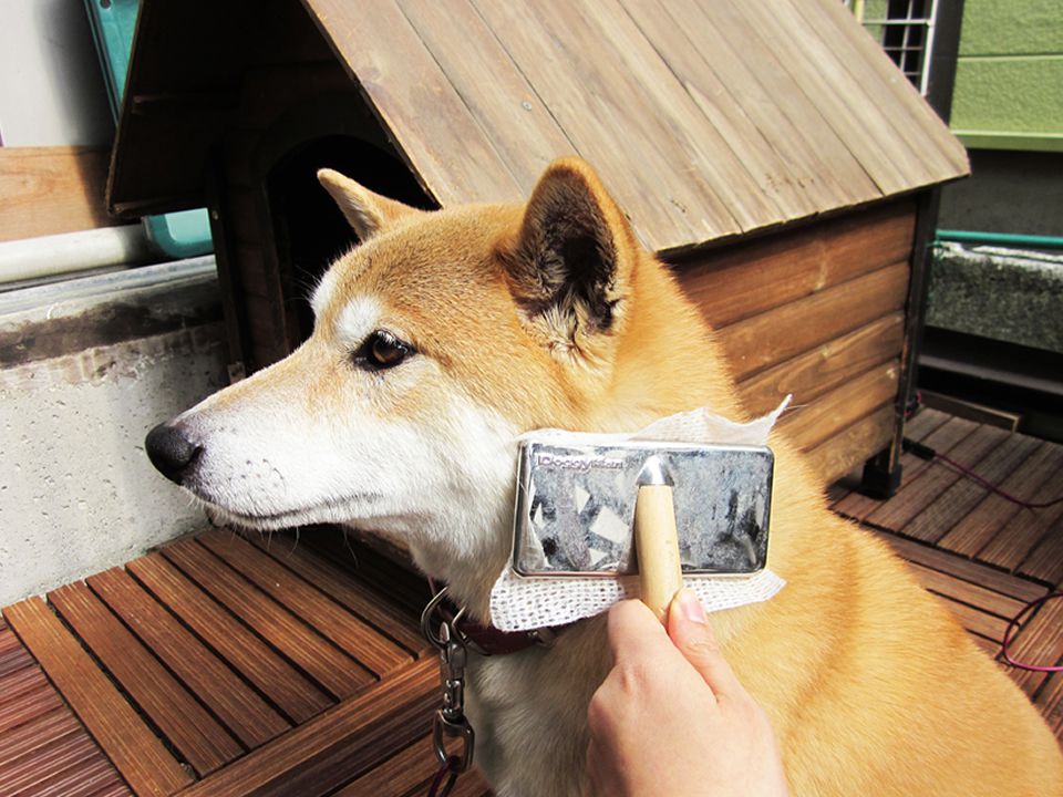 日本 TESCOM - 超音波負離子樁油艷髮梳+SOWA包起來梳子去污紙-香檳金短梳*1+紙巾*30枚/包