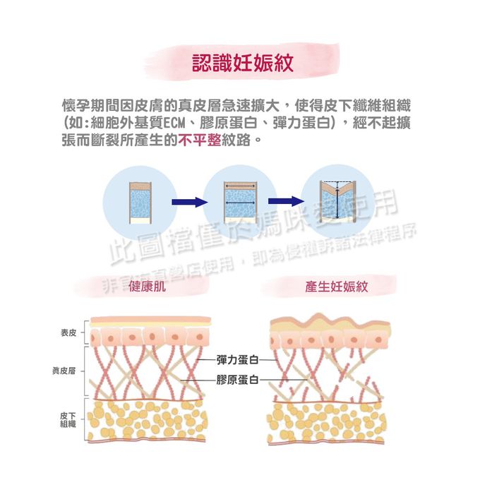 德國珊諾sanosan - S孕女神寵愛孕肌撫紋組-植萃抗紋護理油+多胜肽緊緻撫紋霜