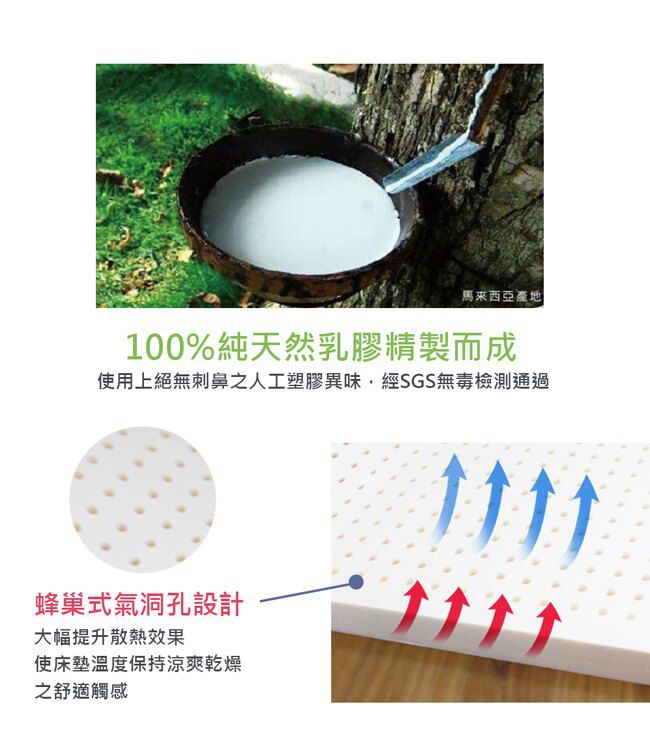 鴻宇 HongYew - 嬰兒幼童乳膠床墊+布套組-交通樂園-藍色 (60x120x4 cm)