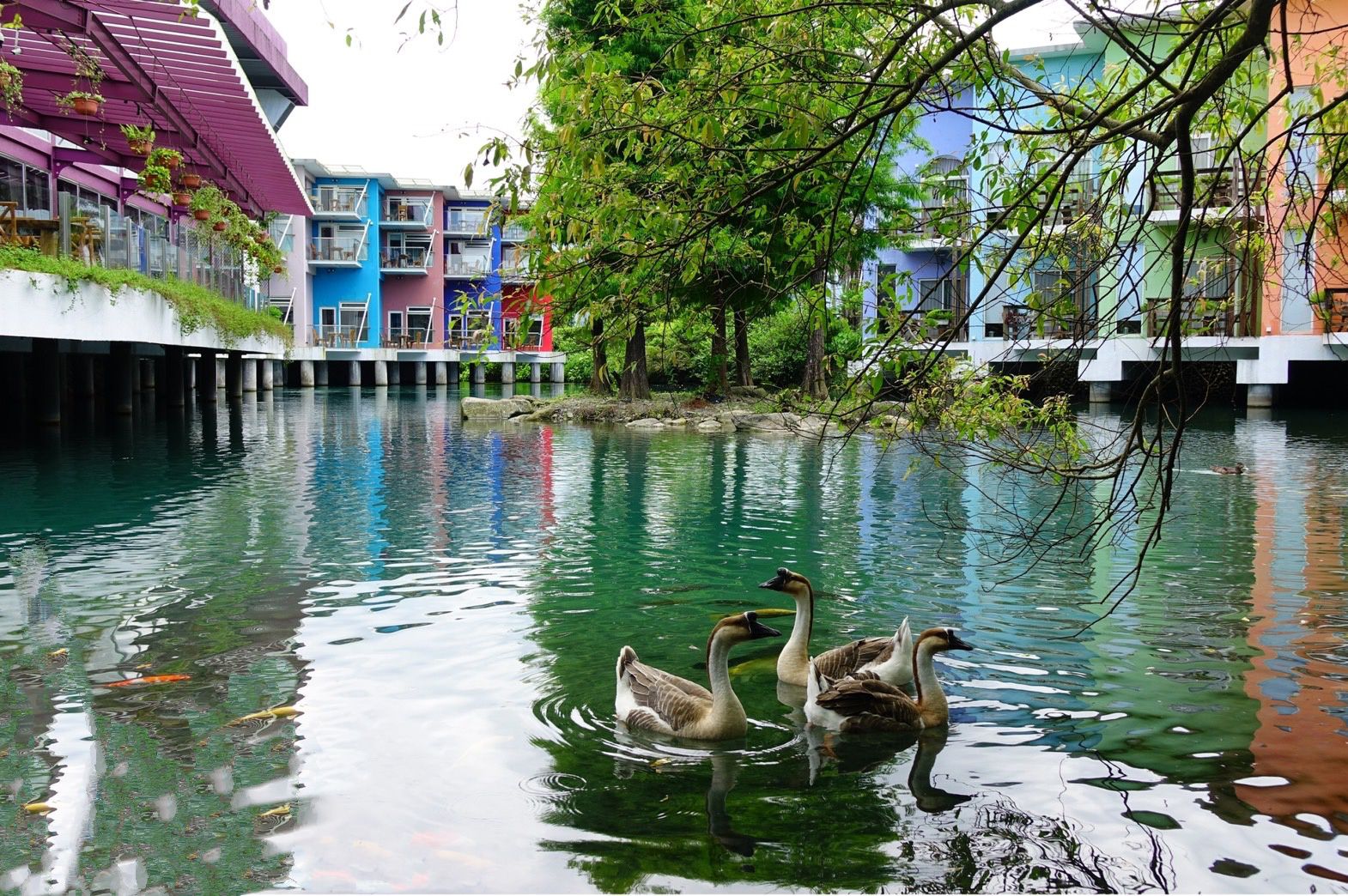 宜蘭水岸森林 - 『媽咪愛特談』平日綠光森林雙人房一泊一食住宿券-優惠效期一年