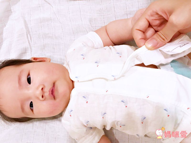 日本 Combi - mini系列-純棉紗布肚衣-鳥