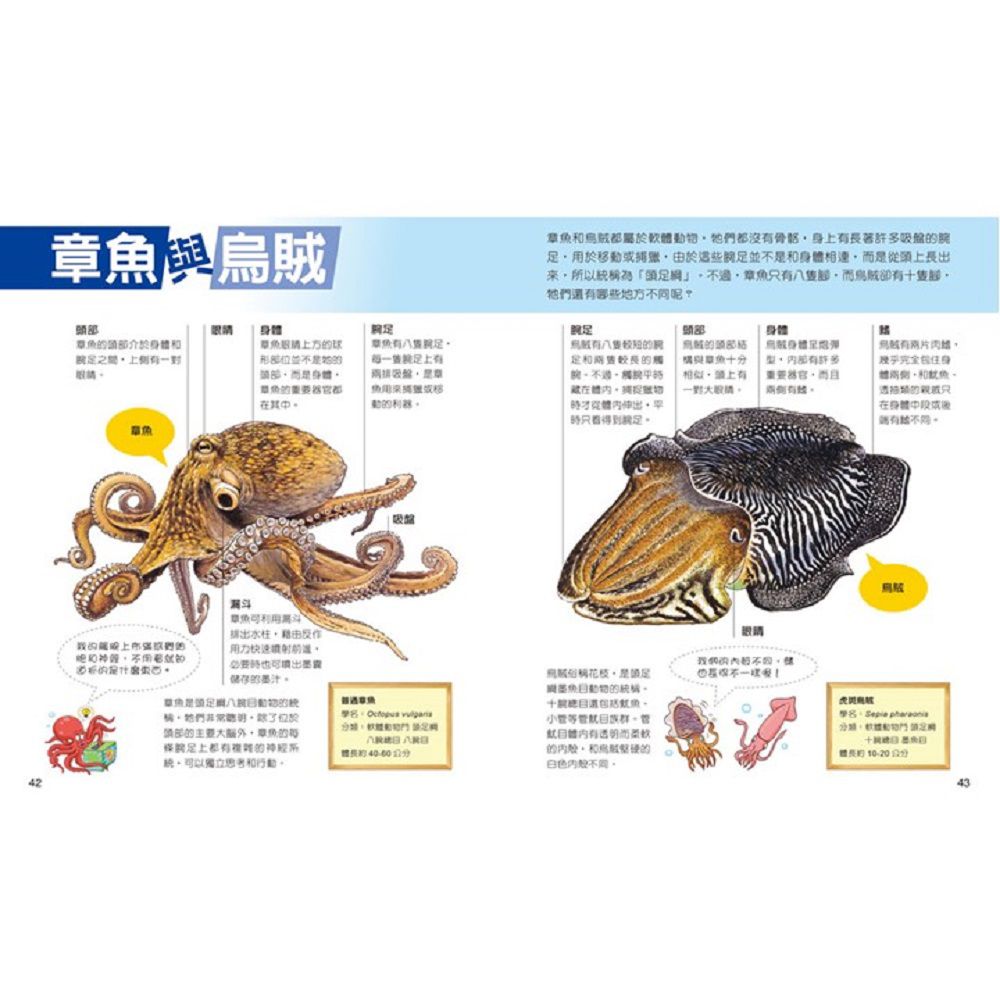 一樣不一樣-精裝-全彩-全套三冊/精裝/共168頁/25.2*20cm/彩色