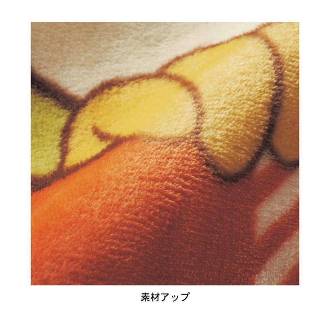 日本千趣會 - 迪士尼印花 輕量保暖毛毯/蓋毯-奇奇蒂蒂冬眠 (一般單人(140×200cm))
