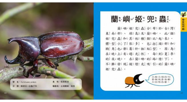 我的第一本甲蟲博士小百科NEW-內含小百科+12款甲學習模型及3個配件