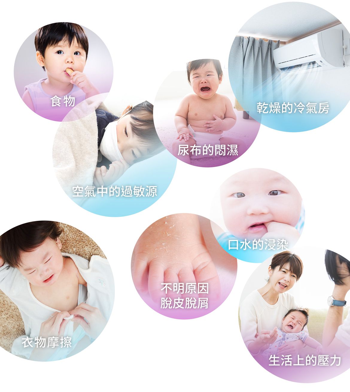 Cindora 馨朵拉 - 紫馨寶貝舒護親膚乳-180ml