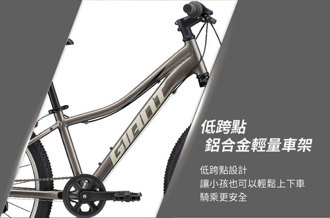 GIANT 捷安特 - XTC JR 24 青少年避震越野自行車-金屬灰 (單一尺寸)