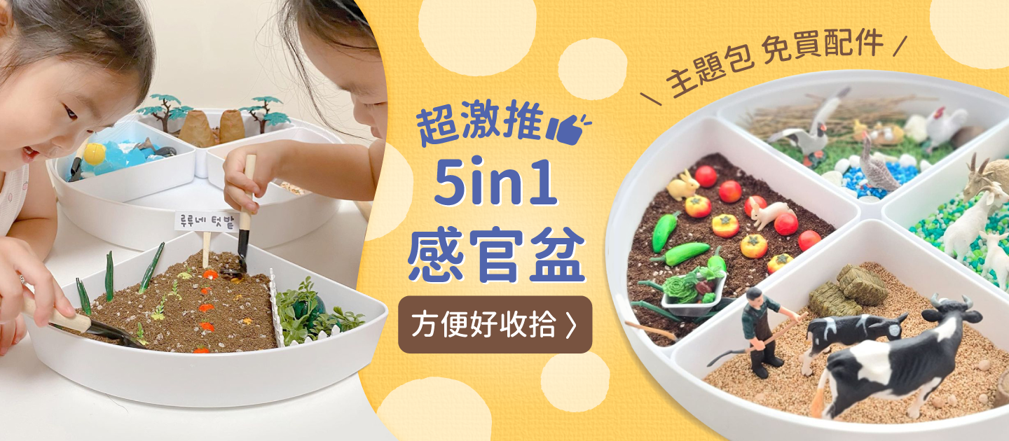 超激推5in1感官盆【韓國POKI趣玩盆】啟發創意力