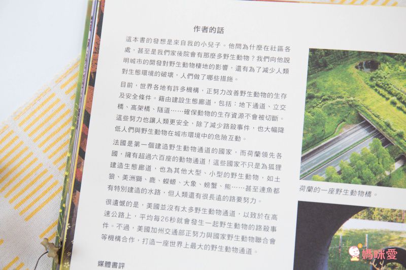 小狐狸回家-精裝圖畫書