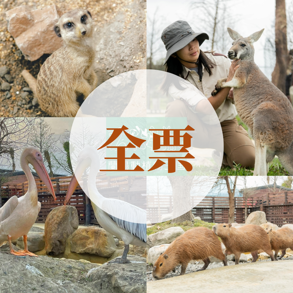 【全票】滿12歲以上-使用期限自購買日起180天(農曆春節不適用)