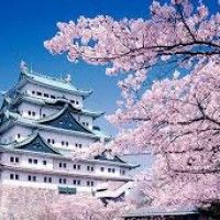 用戶頭像