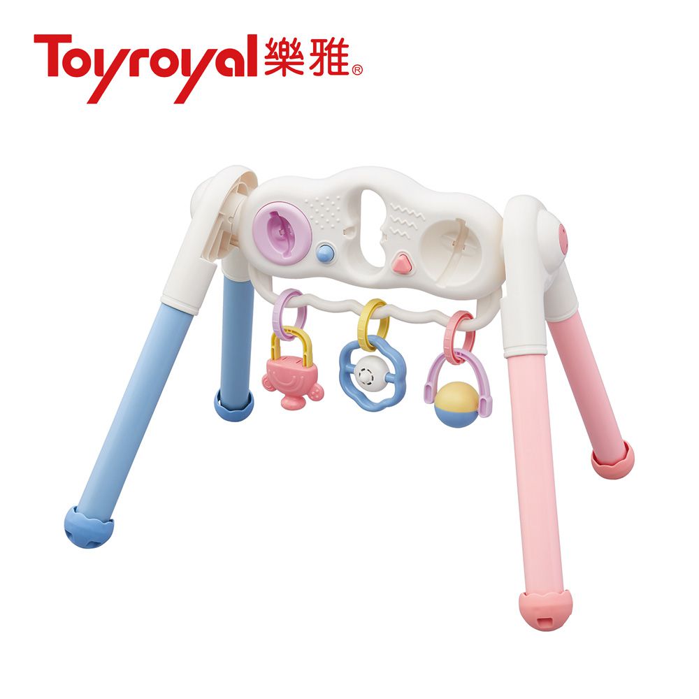 日本樂雅 Toyroyal - 寶寶二合一智育健力架