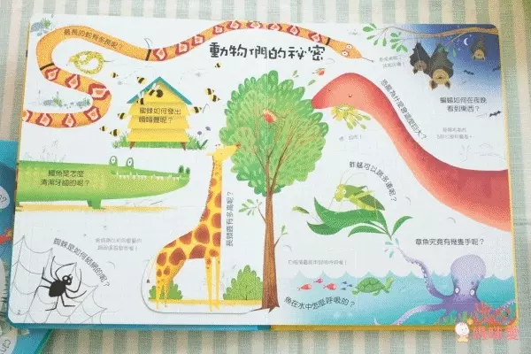 翻翻書大集合！【禾流文創 ✖ 閣林文創】