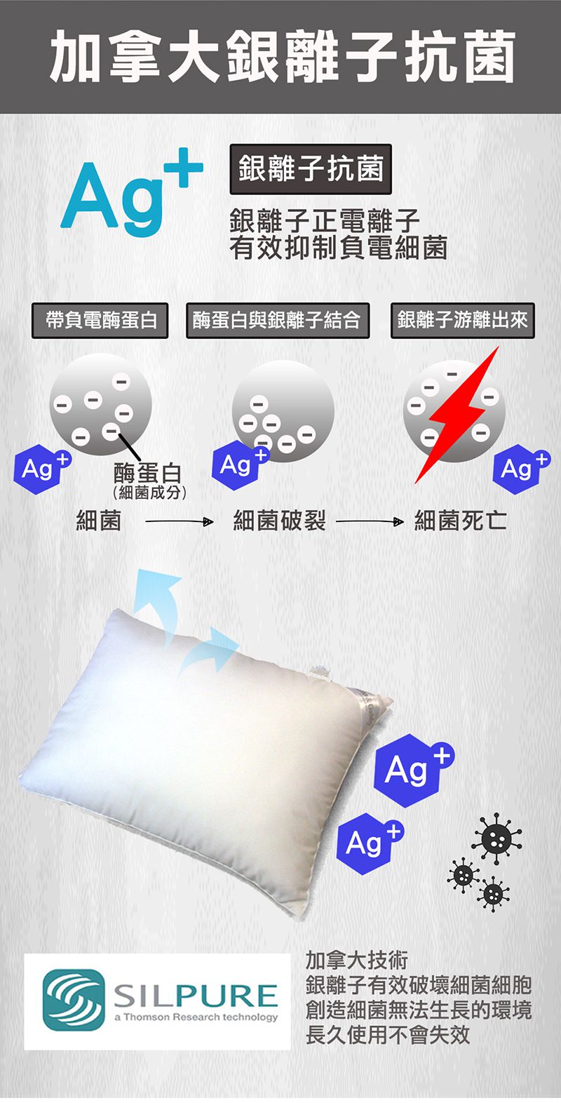 美國 Milo & Gabby - 動物好朋友-可水洗防蹣枕心+莫代爾大枕套組-Bambi精靈斑比 (大枕-2歲以上)