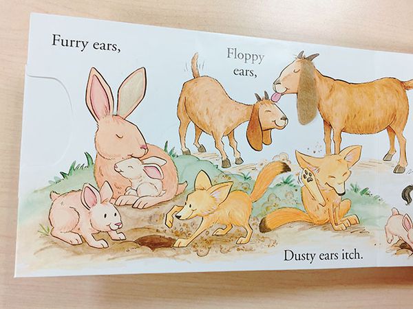 人氣外文操作書✭部落客都推薦的百葉窗書 / 觸摸翻翻書/ 推拉操作書