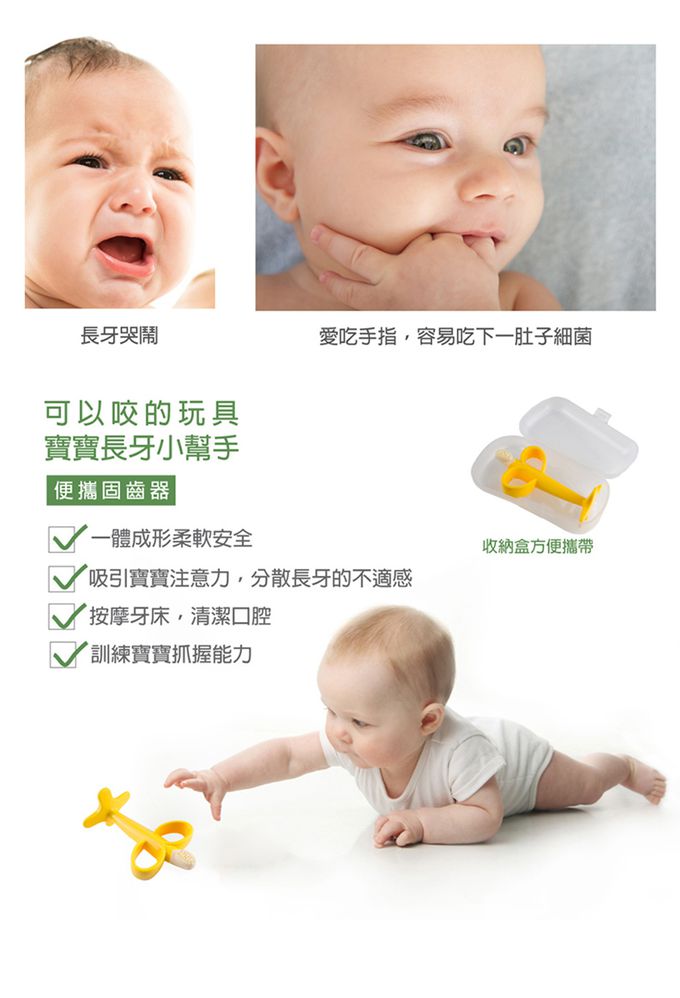 韓國 Perfection - 香蕉固齒器-韓國原裝進口