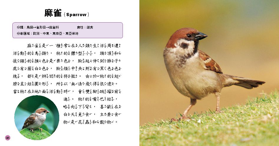 小百科圖鑑：動物小百科-精裝