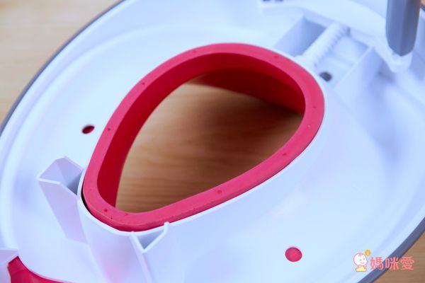 美國 PRINCE LIONHEART