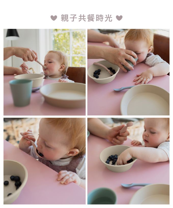 丹麥BIBS - Spoon Set 學習湯匙-灰綠-2入