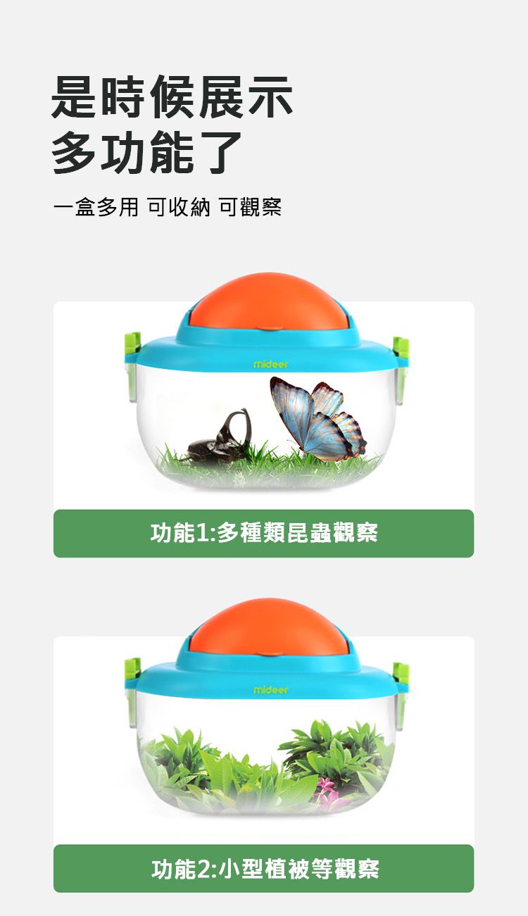 MiDeer - 昆蟲觀察盒
