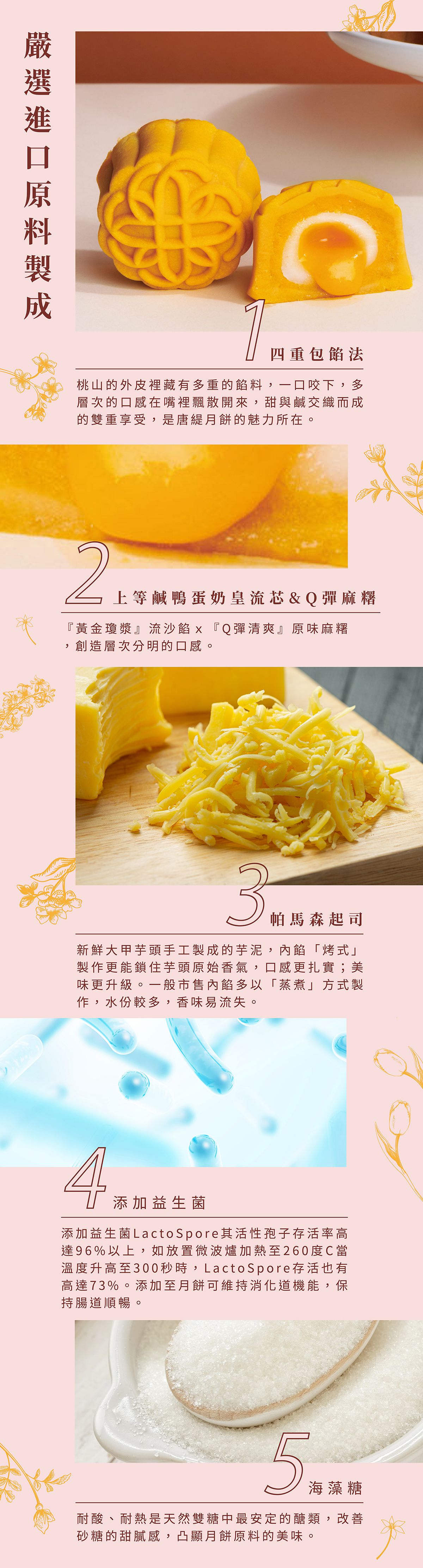 唐緹 TARTINE - 【2022中秋限定】真芯禮盒 (12入)-800g