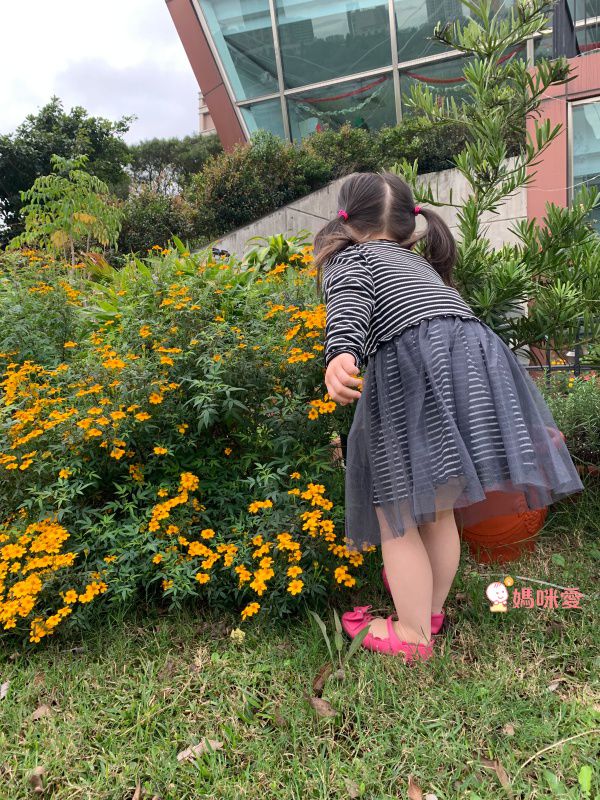 Little moni 紗裙褲＆洋裝❤獨特絕美登場