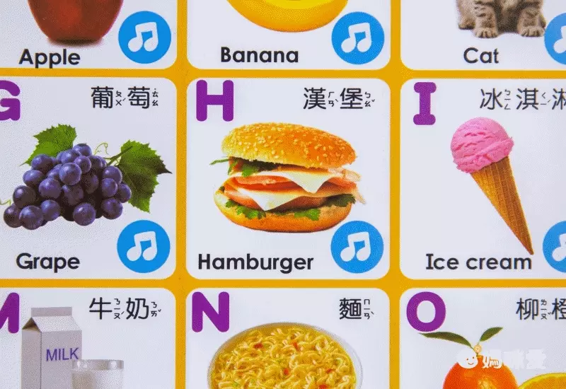 動物有聲掛圖-中英台3種語言+精選36種動物真實圖片+2首經典律動性兒歌+互動問答遊戲