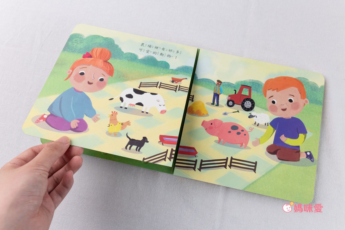 【STEAM教養遊戲繪本】(全套20冊)