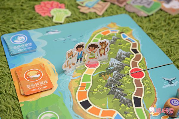 自然科學博物館授權【臺灣特有種】親子桌遊，認識台灣本土物種