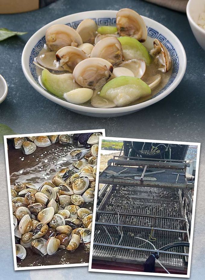 愛品鮮 - 熟凍鮮蛤蜊4包-(350g±10%/包)