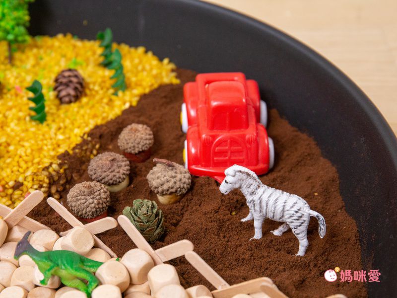 風靡歐美的感官盆懶人包！【玩玩play】一盆成就百種玩法