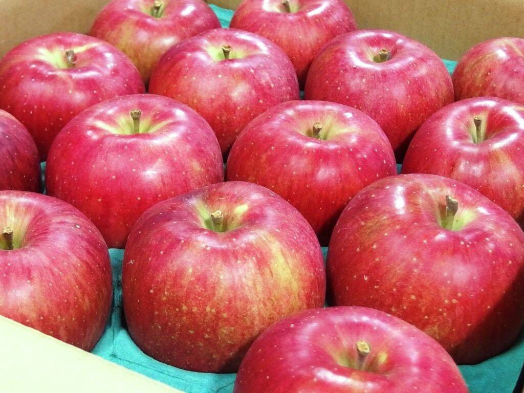 草莓界的夢幻逸品！熊本草莓空運直送 ❤ 濃濃甜香、果肉飽滿細緻