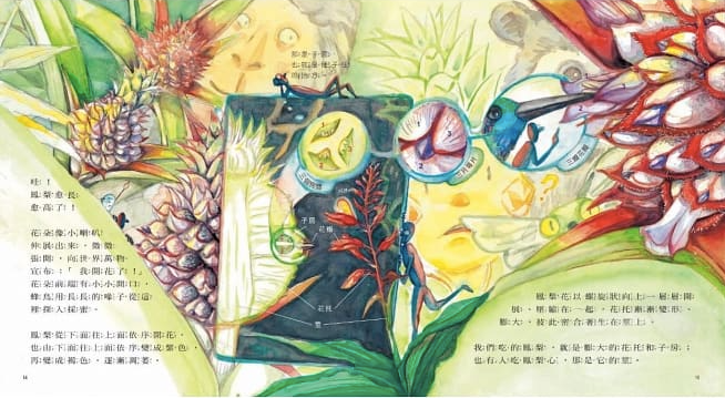 食物大發現：鳳梨從哪裡來？