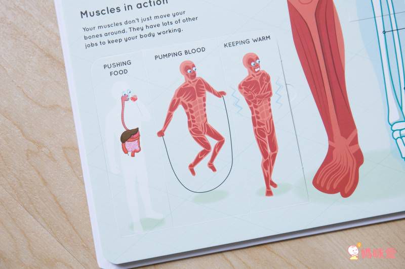 《大象艾瑪ELMER》英文繪本10書＋有聲CD套組✯ 單本不到百元！ 英文親子共讀首選♬